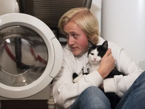 У Норвегії кіт вижив після 40 хвилин у пральній машині