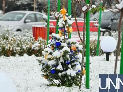 В Ужгороде украсили самую маленькую "официальную новогоднюю елку" в Украине