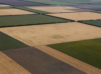 Аграрии обвинили агрохолдинг "Кернел" в захвате их земель