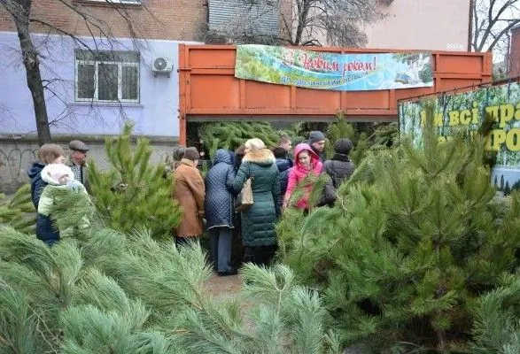 Водитель сбил двух женщин на елочном базаре в Кропивницком