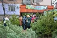 Водій збив двох жінок на ялинковому базарі у Кропивницькому