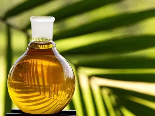 ЄС прагне обмежити поставки пальмової олії