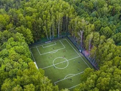 Майже 75 тисяч футбольних полів: у Держлісагентстві розповіли про відновлення лісів