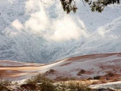 У пустелі Сахара другий рік поспіль випав сніг