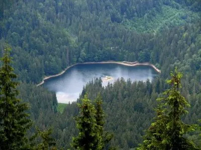 Минприроды выделило более 53 млн грн на восстановление Музея леса и сплава на Закарпатье