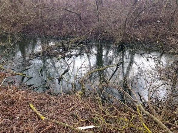 На Прикарпатье в ручье нашли тело мужчины