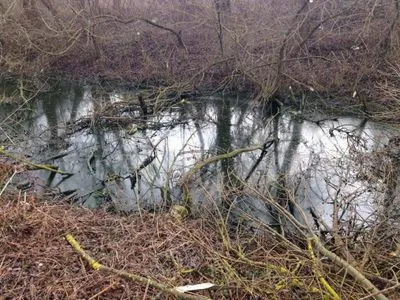 На Прикарпатье в ручье нашли тело мужчины
