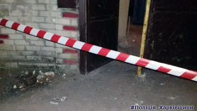 На Харківщині невідомі кинули гранату у подвір'я приватного будинку