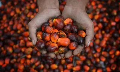 Нардеп назвал последствия рекордного импорта пальмового масла
