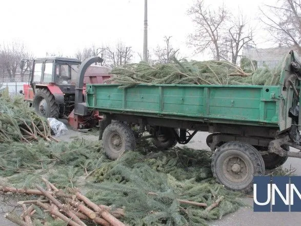 В Киеве открыли первый пункт сбора новогодних елок