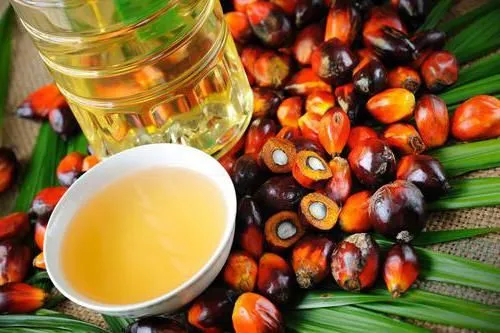 Депутаты предлагают принять "запрет пальмового масла" в первом чтении