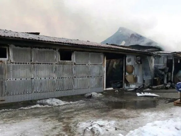 В Житомирской области ликвидируют масштабный пожар в магазине стройматериалов