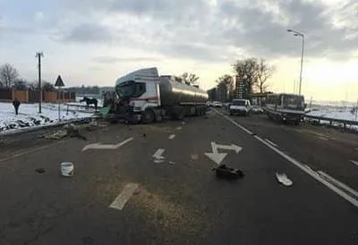 Цирковий кінь загинув у ДТП на трасі Київ-Чоп