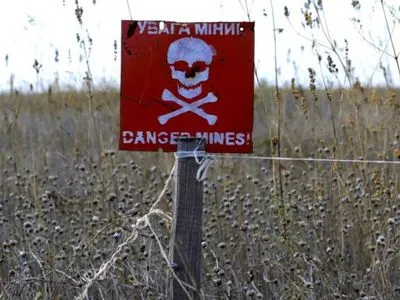 Госдеп США считает, что на разминирование Донбасса уйдут десятилетия