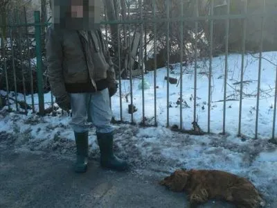 Во Львовской области задержали мужчину, который задушил собаку