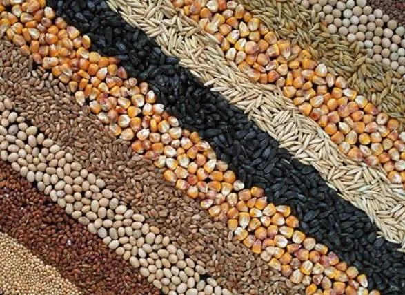 Аграрії протягом 2017 року зібрали 61,3 млн тонн зерна