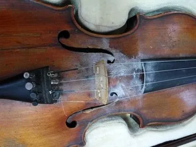 Скрипку известной итальянской мастерской Амати пытались вывезти в Турцию
