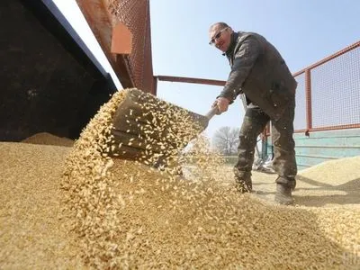 В ФАО прогнозируют рекордный за последние 16 лет уровень запасов зерна