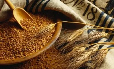 Україна на сьогодні експортувала майже 25 млн тонн зерна