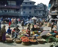 Вопрос качества продуктов питания актуален по всему миру: Непал предпринимает меры