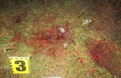 В Житомирской области во время драки убит человек, а другую ранены