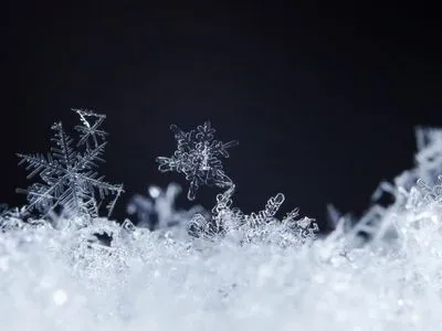Искусство олимпийского снега и льда: как делают идеальную поверхность