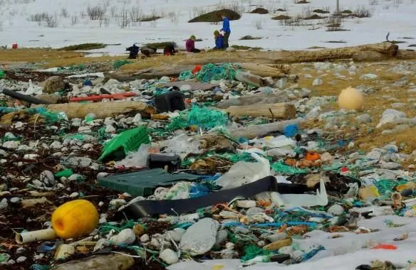 Норвегия поделилась опытом переработки пластиковых отходов