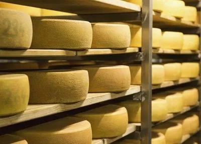 У границы с Россией обнаружили ящики с 300 кг сыра