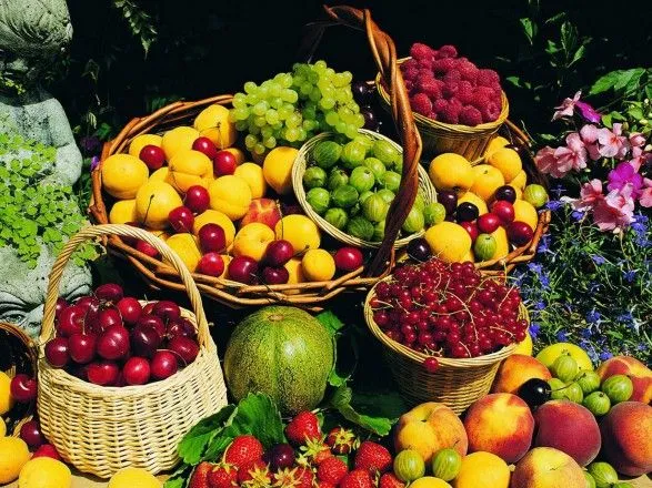 Україна зібрала у 2017 році 2 млн тонн плодів та ягід