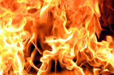 На Прикарпатье в огне погибли два человека
