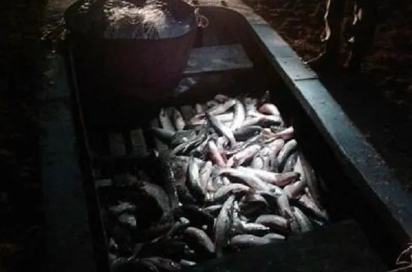 В Приазовье поймали браконьеров с уловом на полмиллиона гривен