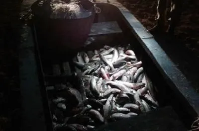В Приазовье поймали браконьеров с уловом на полмиллиона гривен