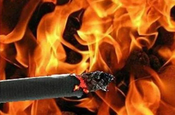 Жительница Житомирской области погибла в огне из-за курения