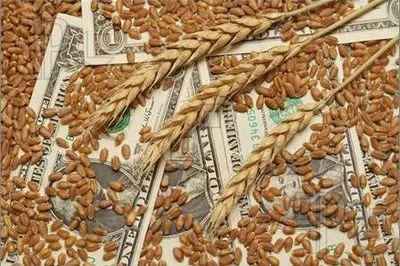 Мінагрополітики та зернотрейдери узгодили обсяги експорту зерна