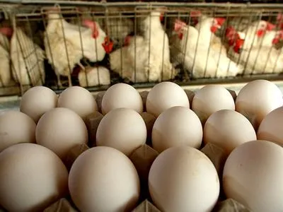 В Асоціації птахівників прокоментували хайп з яйцями "МХП"