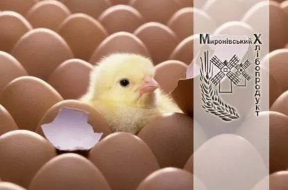 “Мироновский хлебопродукт” не продает яйца