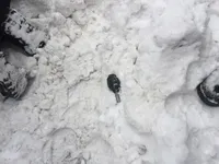 Разгон под ВР: полиция нашла "коктейли Молотова", пять дымовых мин и девять гранат