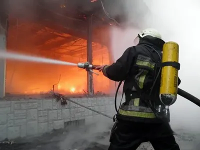 Пожарные спасли пять детей из горящего дома в Винницкой области