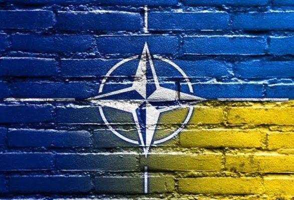 Статус "країни-аспіранта" дає Україні лише надію на вступ до НАТО, але не більше - експерт