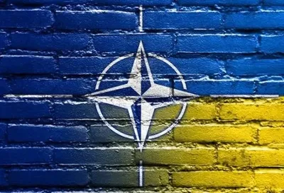 Статус "страны-аспиранта" дает Украине только надежду на вступление в НАТО, но не более - эксперт