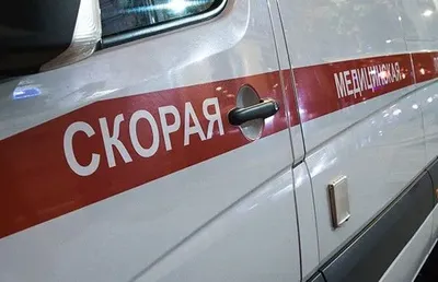 Один человек погиб и один пострадал после нападения стаи бродячих собак в Подмосковье