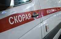 Один человек погиб и один пострадал после нападения стаи бродячих собак в Подмосковье