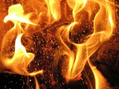 В Днепропетровской области произошел пожар на автобазе "Павлоградуголь"