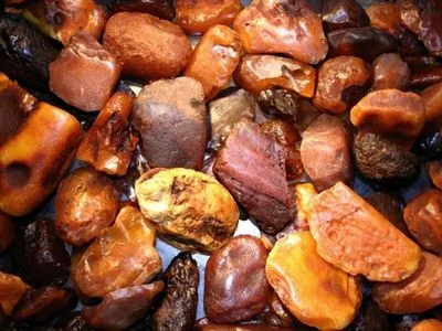 Обыски в Житомирской области: правоохранители изъяли 40 кг янтаря
