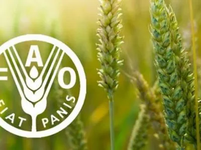 ФАО упрекнуло Украину за халатное обращение с непригодными пестицидами