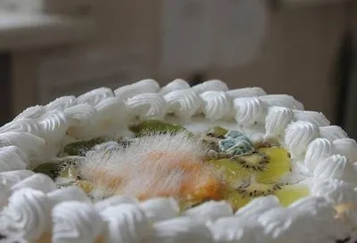 В Львовской области восемь человек отравились тортом