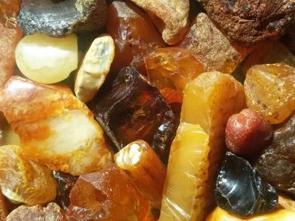 СБУ изъяла 3 тонны янтаря в Житомирской области