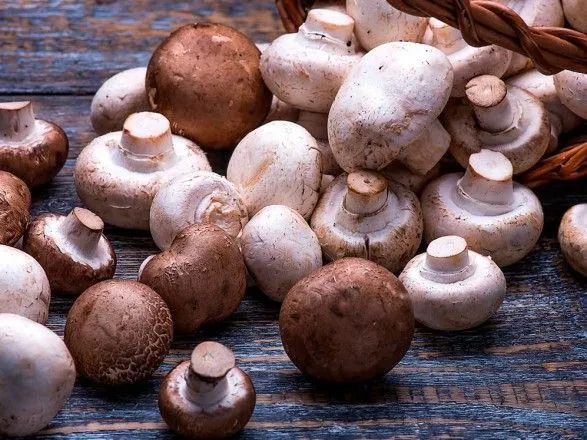 Украина в прошлом году экспортировала в 12 раз больше грибов
