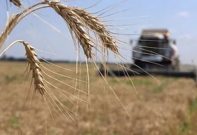 Если аграрии начнут страйковать, никакие кредиты МВФ Украине не помогут – политолог