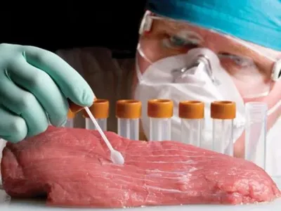 Експерт розповів, яке м’ясо найчастіше нашпиговують антибіотиками